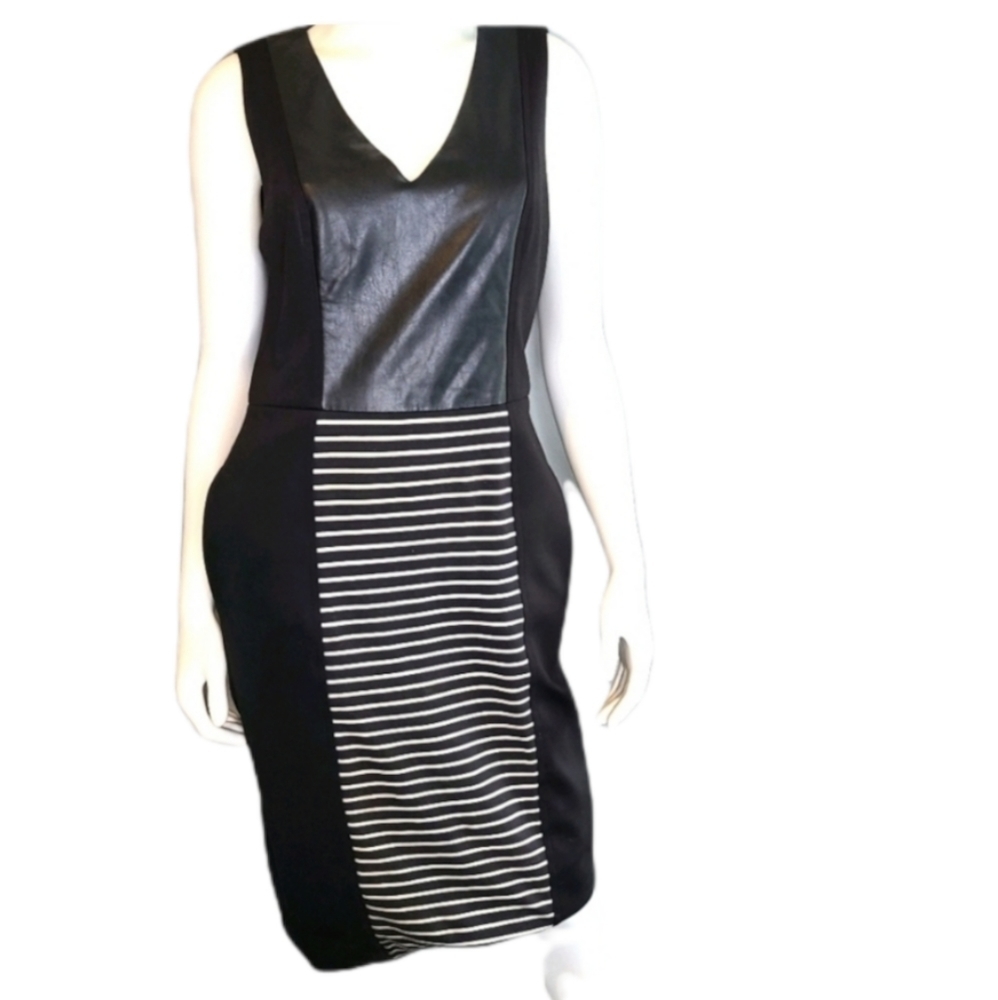 Rachel Roy Leather V Neck Striped Dress